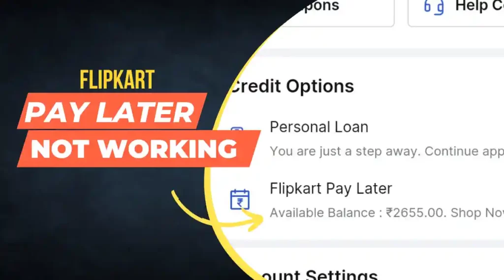 flipkart pay later not working in hindi